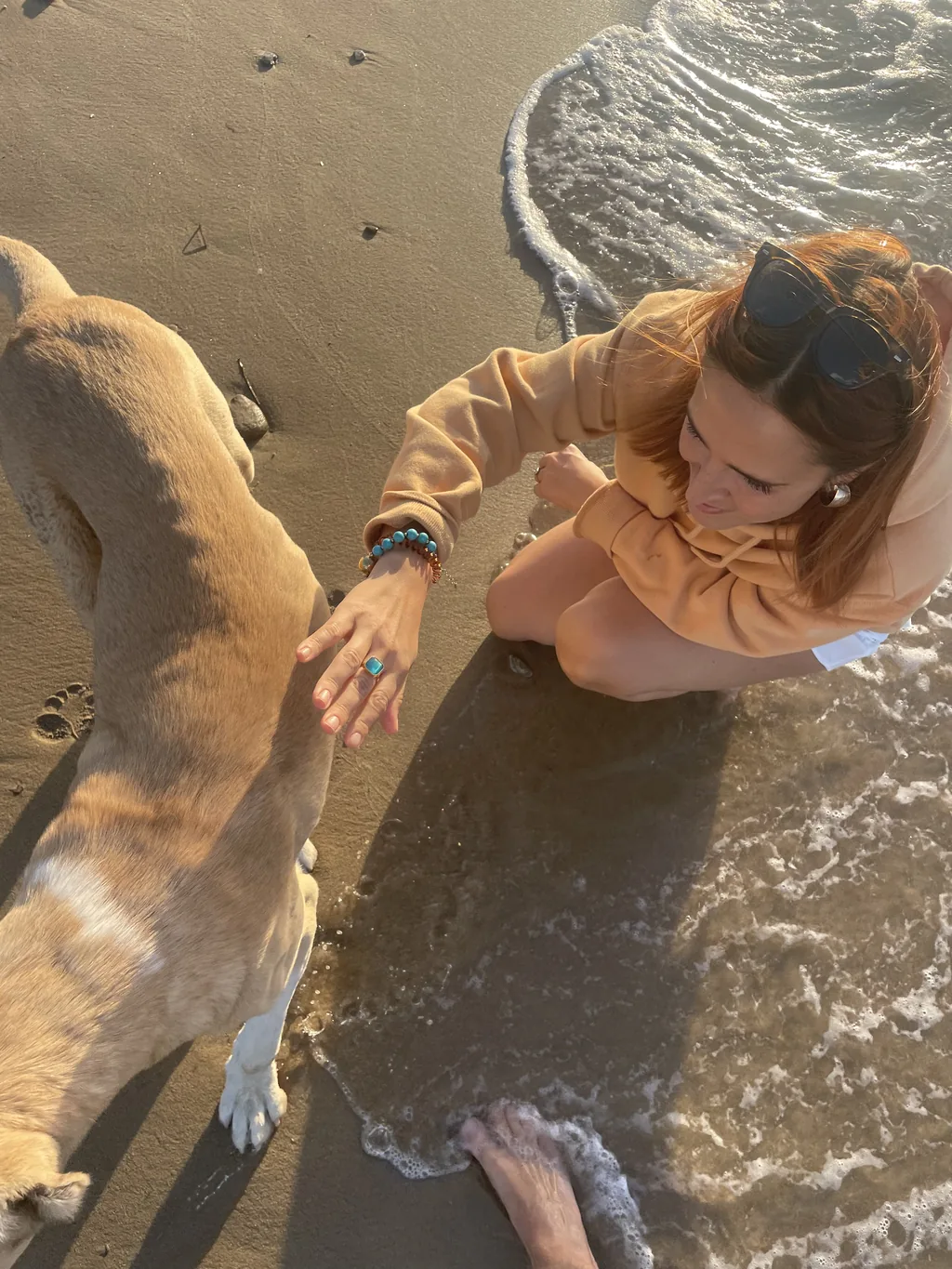 Mensch streichelt Straßenhund am Strand – Du bist nicht egal