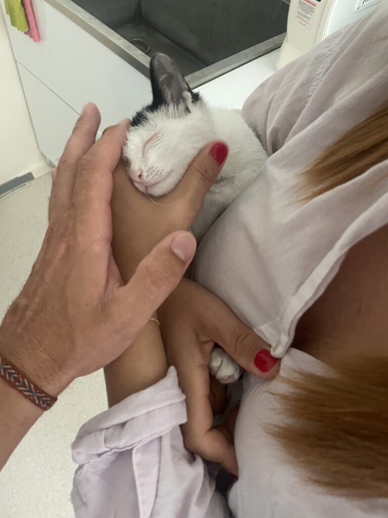 Foto 07.09.24, 11 23 11 AM