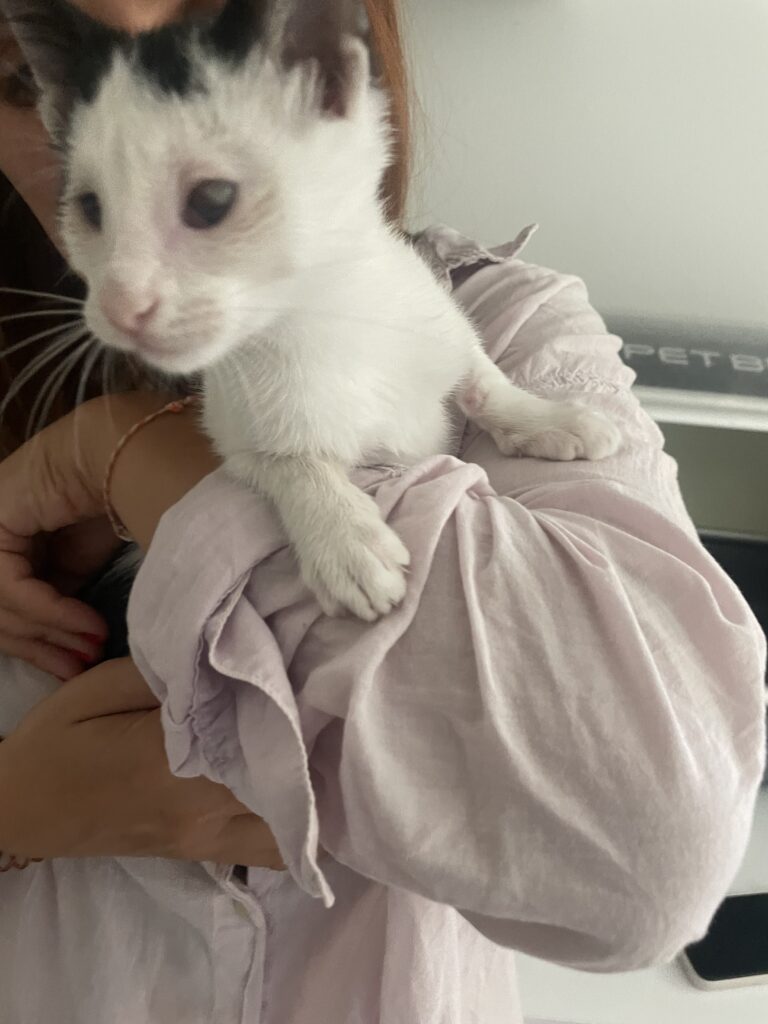 Foto 07.09.24, 11 28 09 AM